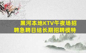黑河本地KTV午夜场招聘急聘日结长期招聘模特